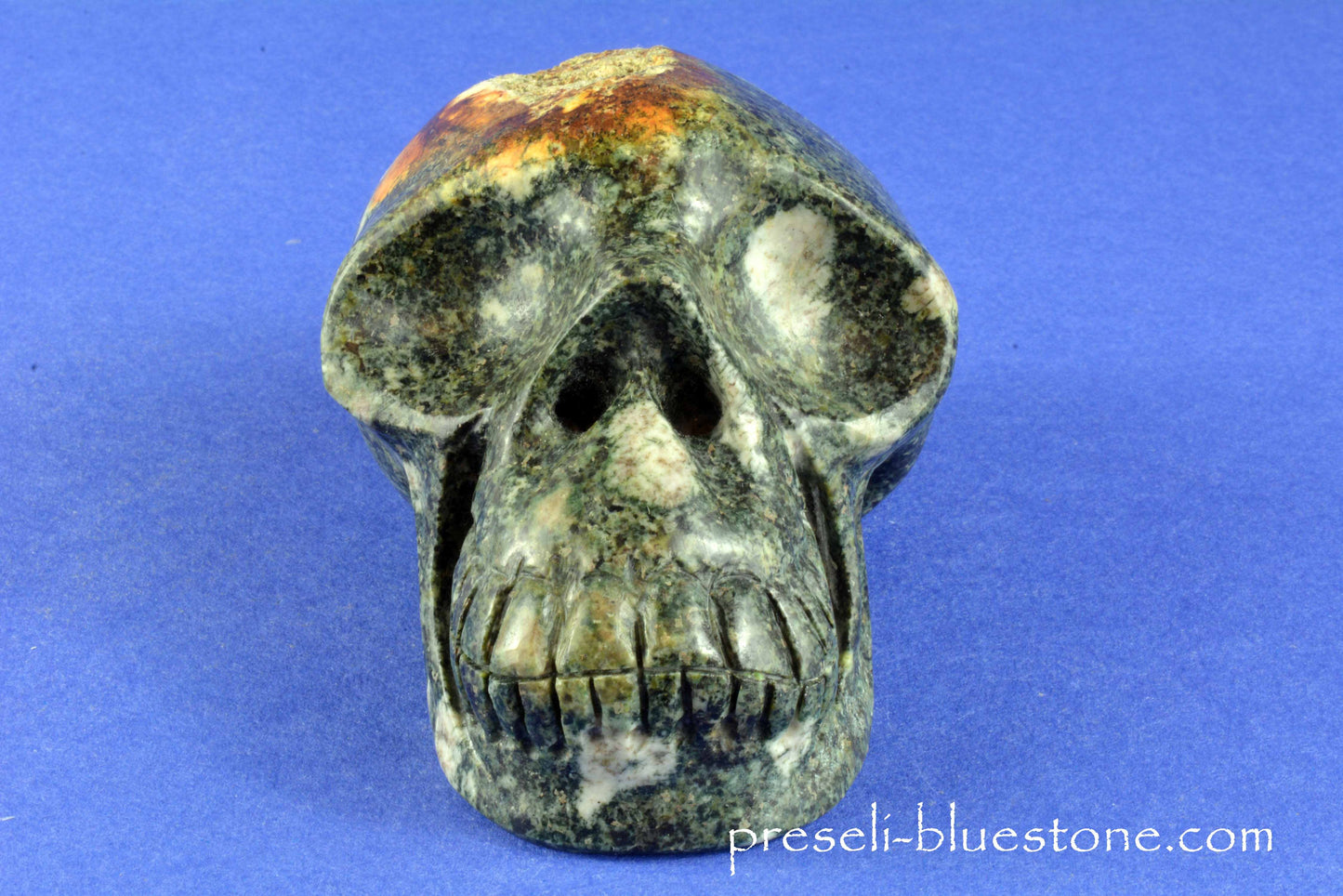 Preseli Bluestone Skull