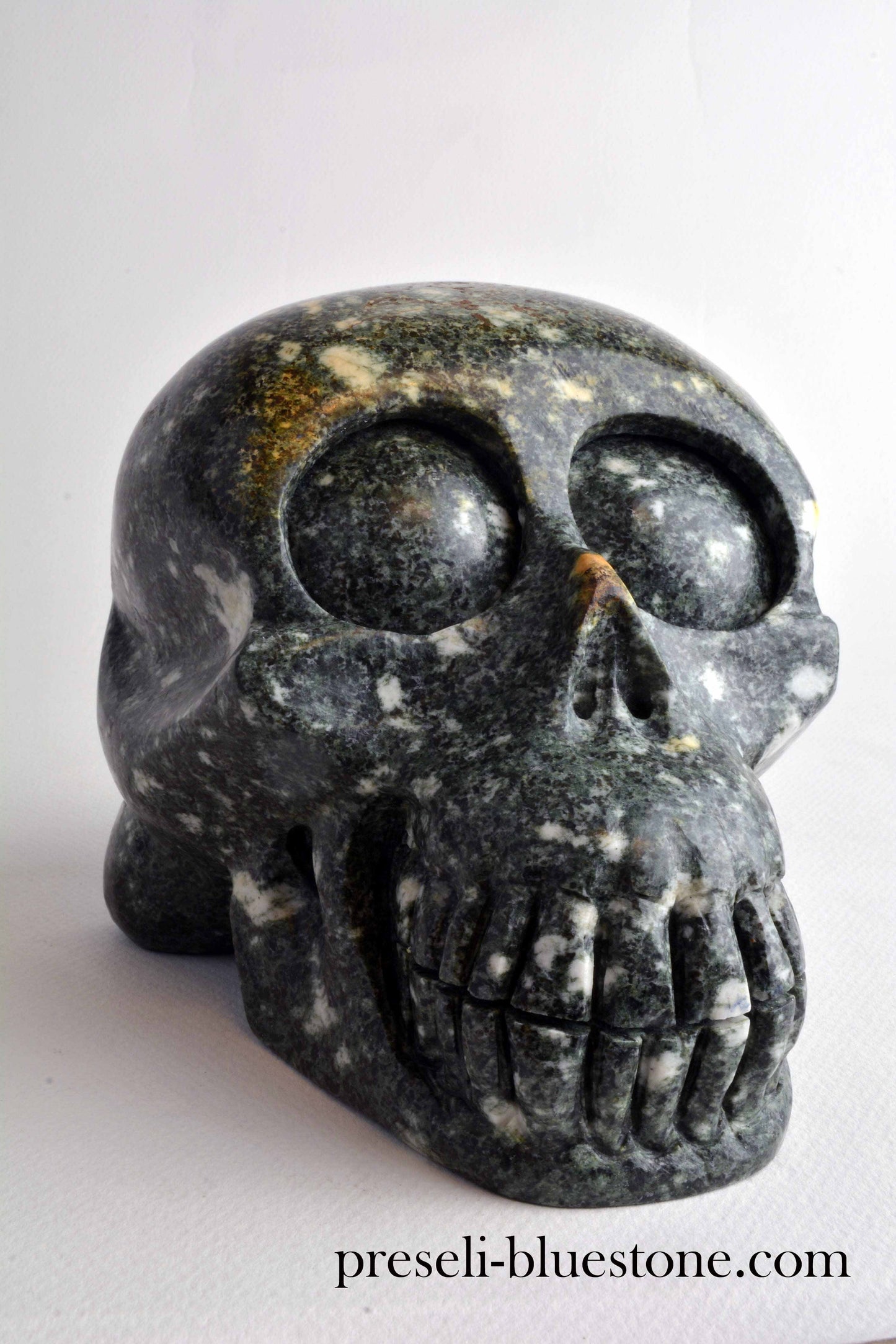 Preseli Bluestone Skull
