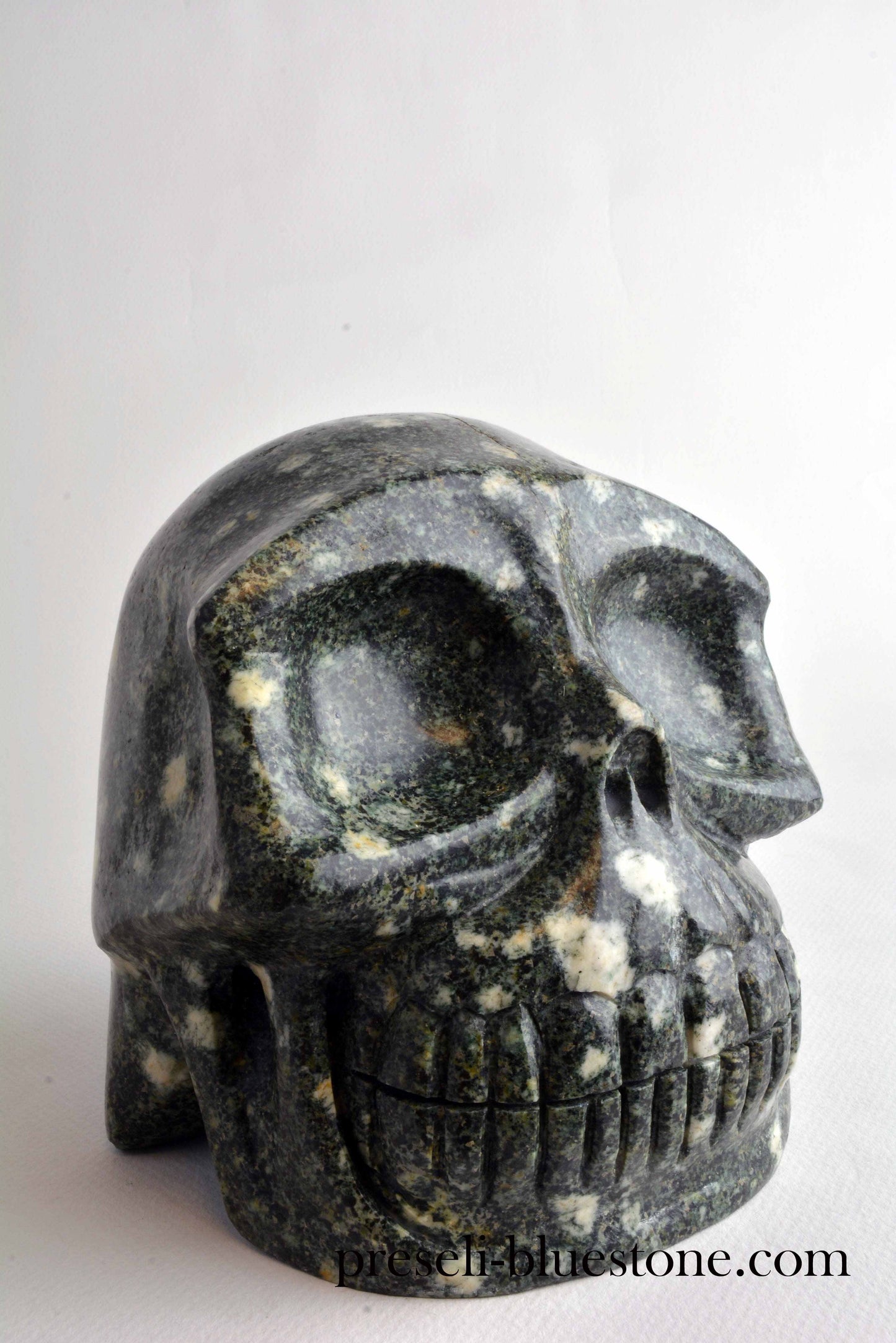 Preseli Bluestone Skull