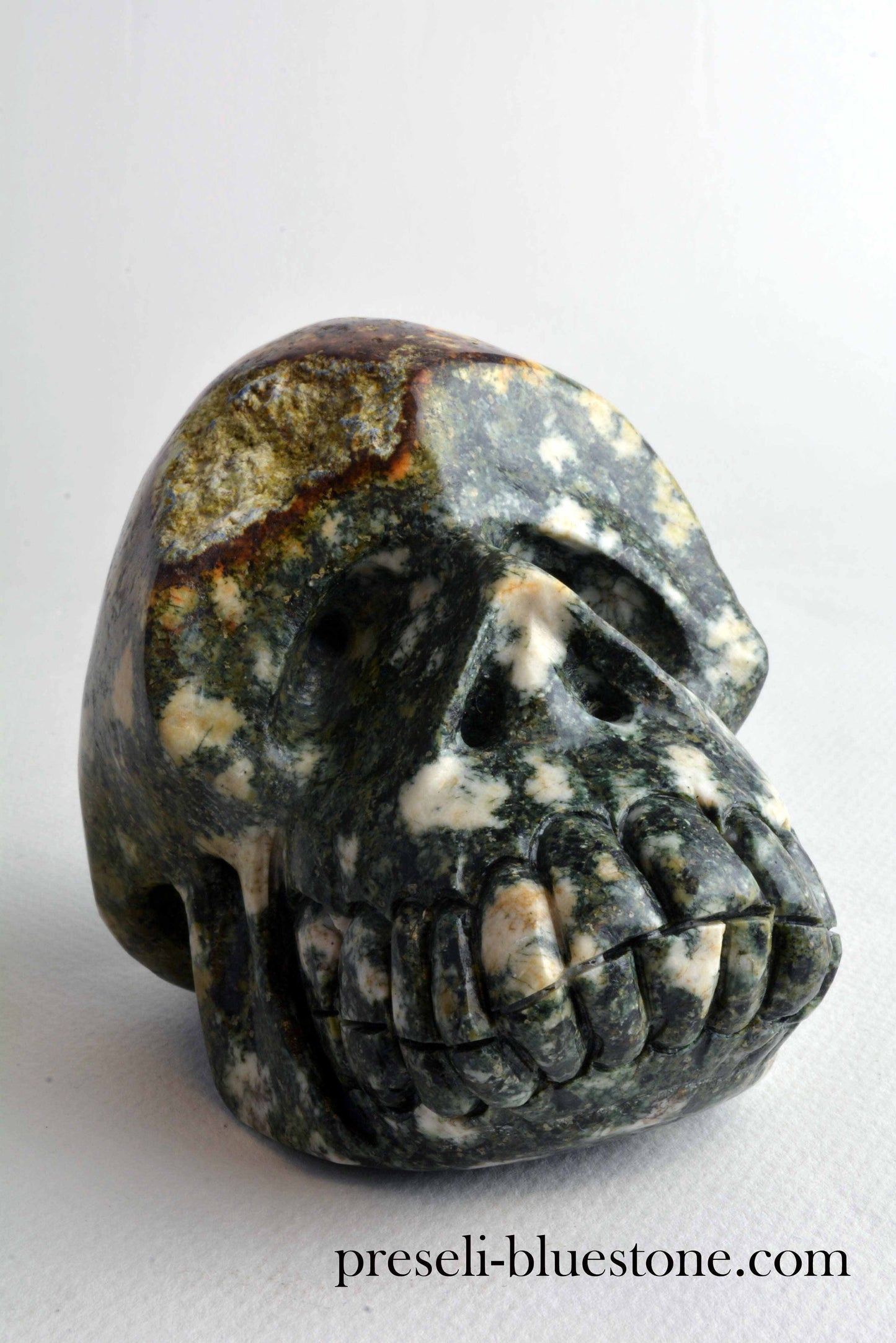 Preseli Bluestone Skull