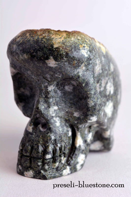 Preseli Bluestone Skull