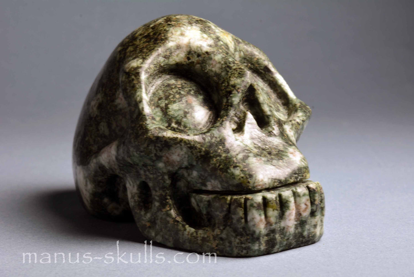 Preseli Bluestone Skull
