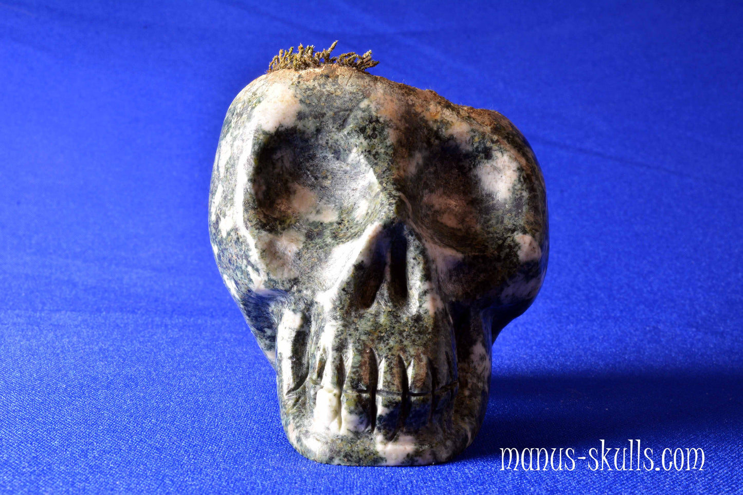Preseli Bluestone Skull