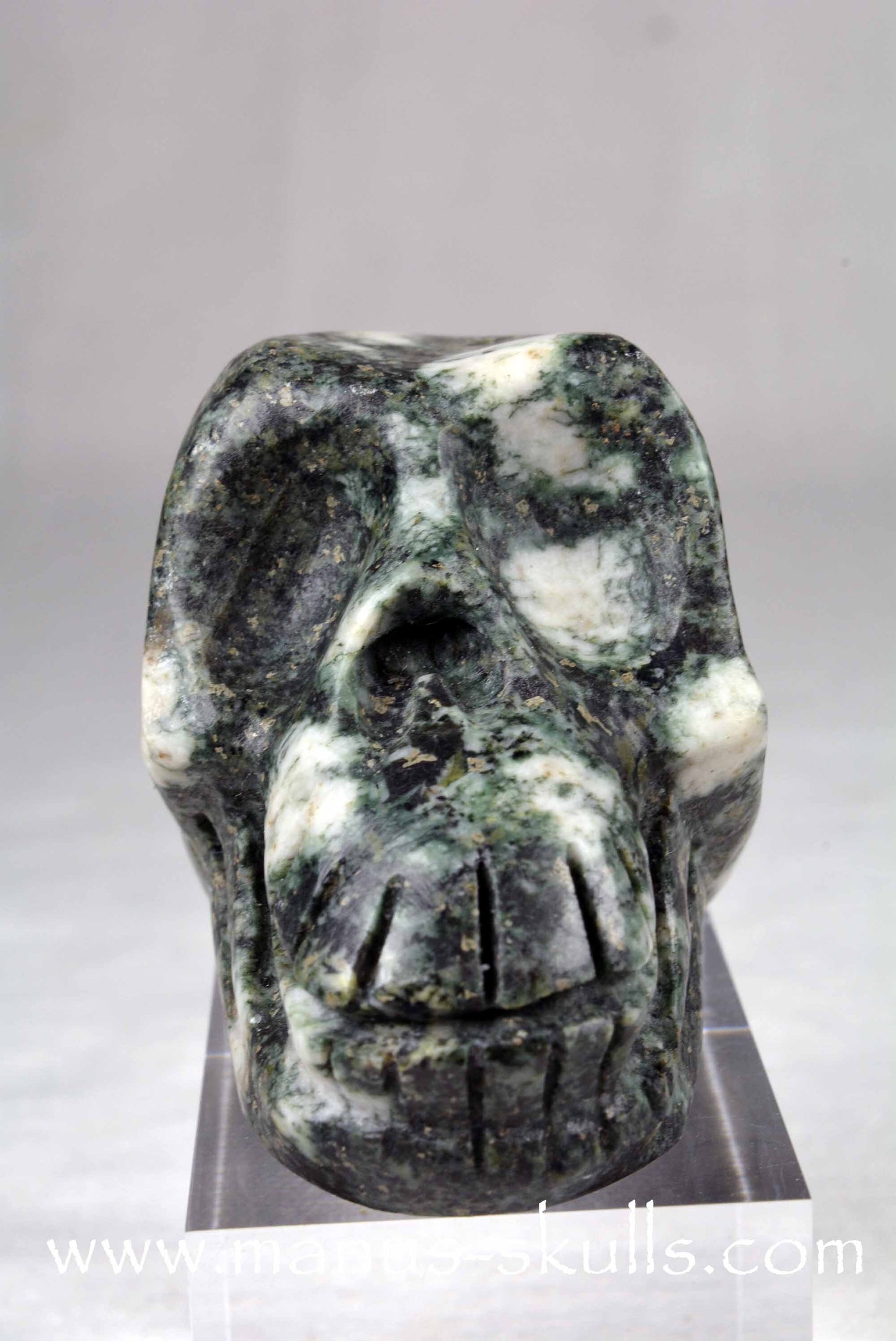 Preseli Bluestone Skull
