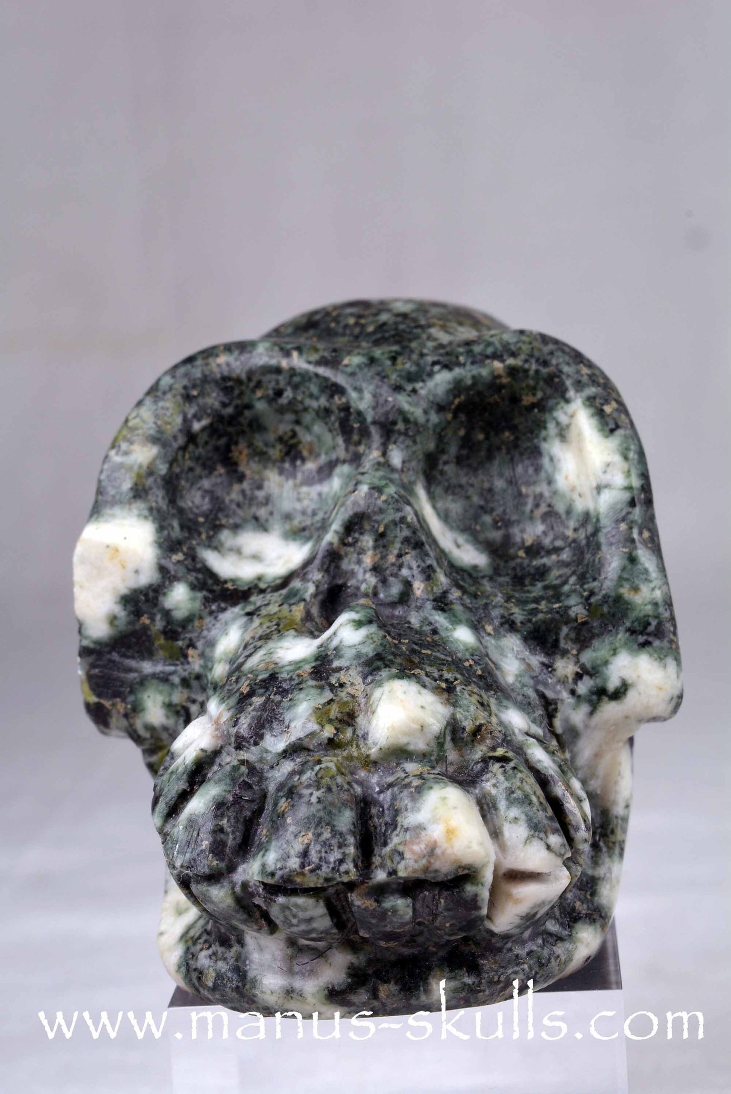 Preseli Bluestone Skull