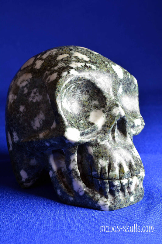 Preseli Bluestone Skull