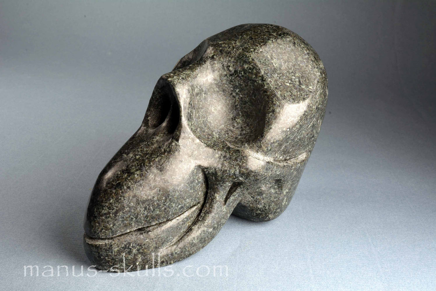 Unspotted Preseli Bluestone Skull