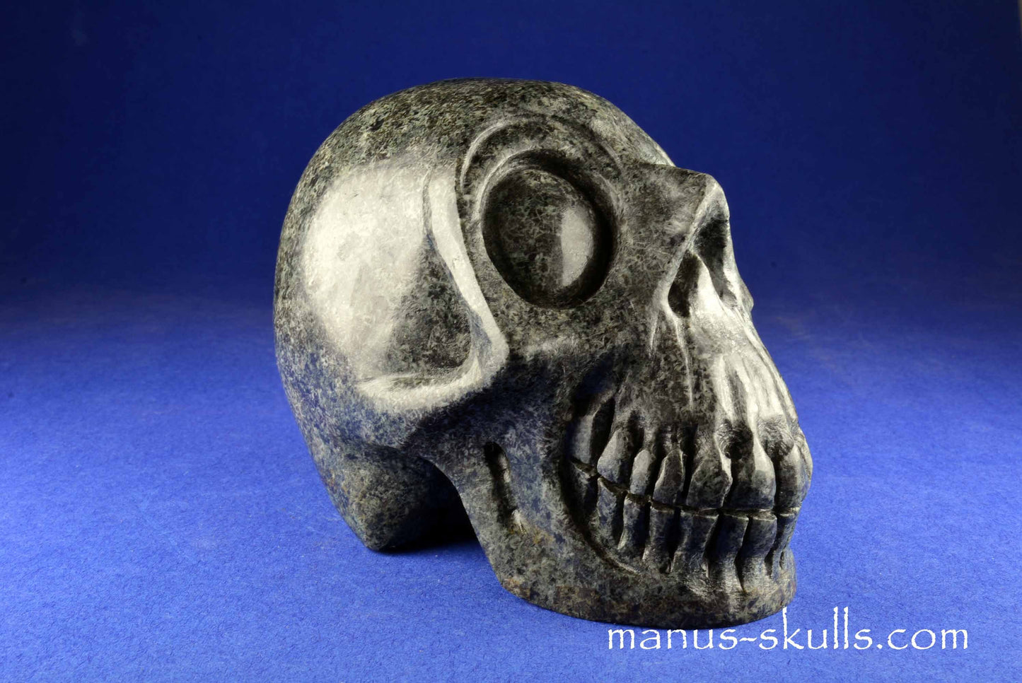 Unspotted Preseli Bluestone Skull
