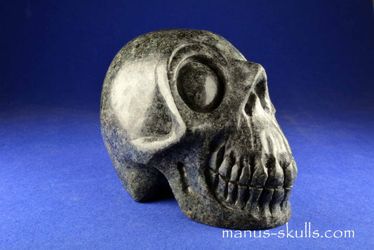 Unspotted Preseli Bluestone Skull