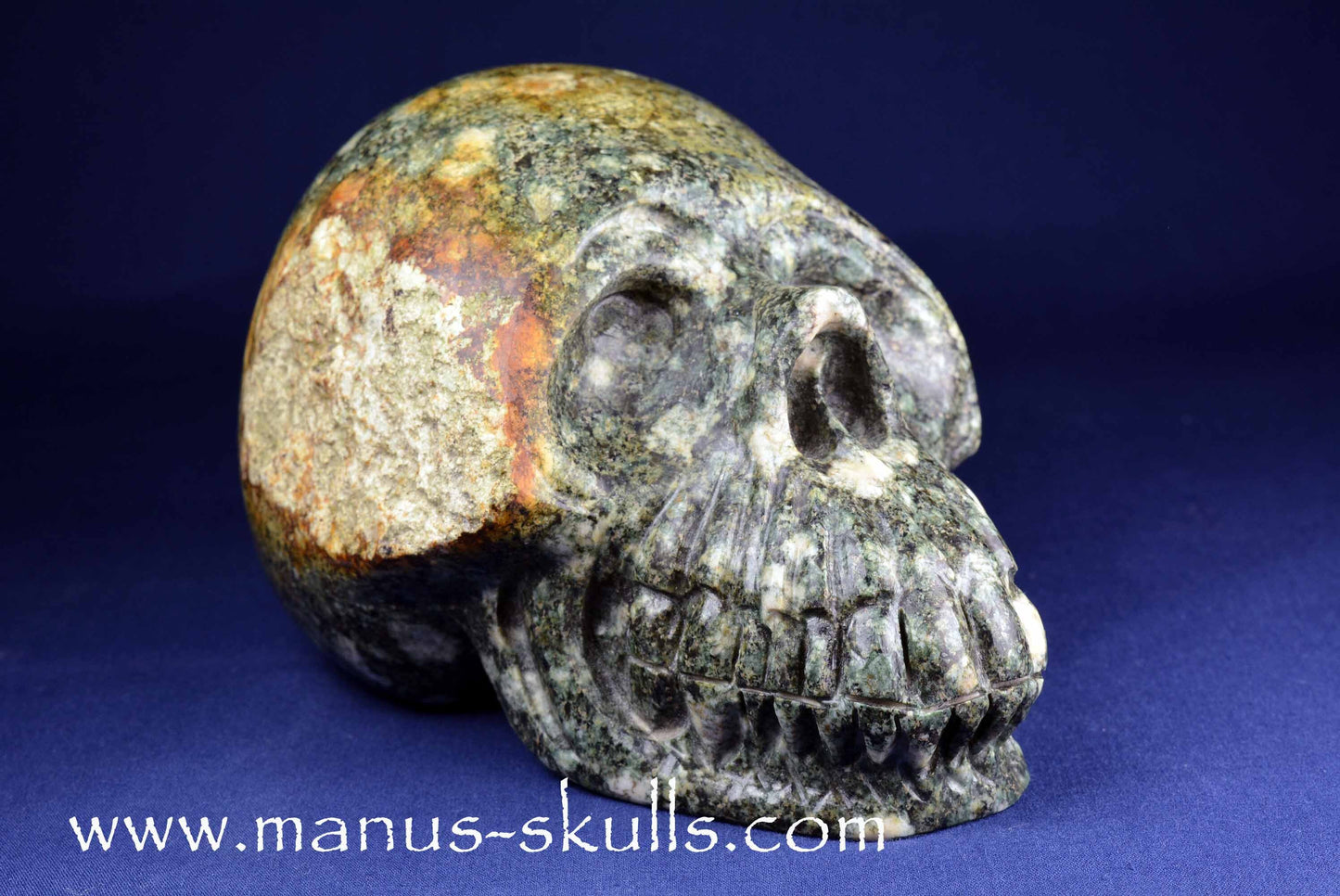 Preseli Bluestone Skull