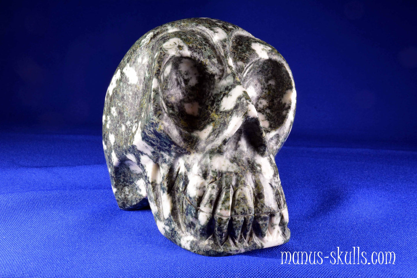 Preseli Bluestone Skull
