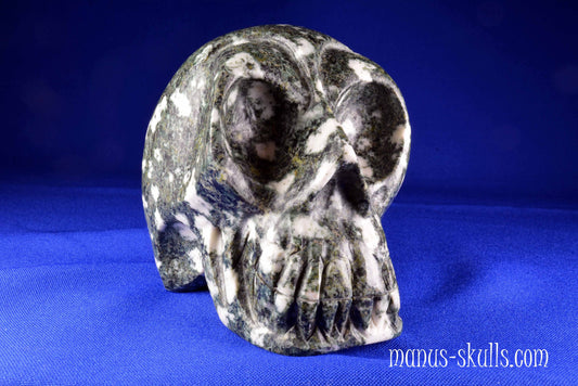 Preseli Bluestone Skull