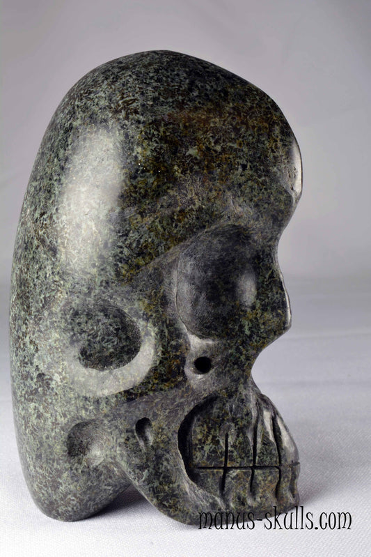 Unspotted Preseli Bluestone Skull