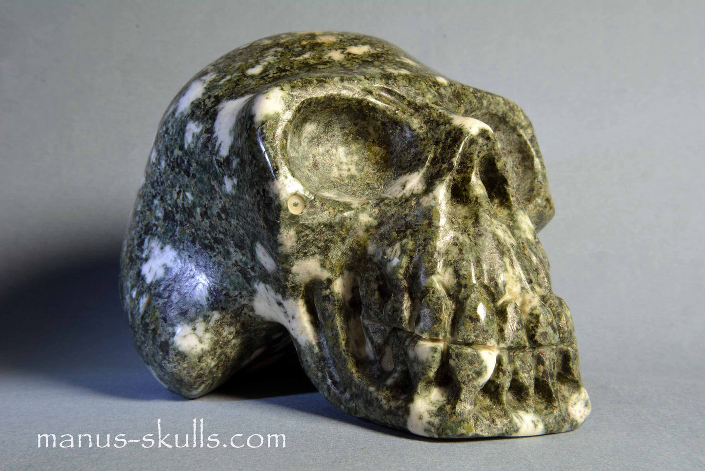 Preseli Bluestone Skull
