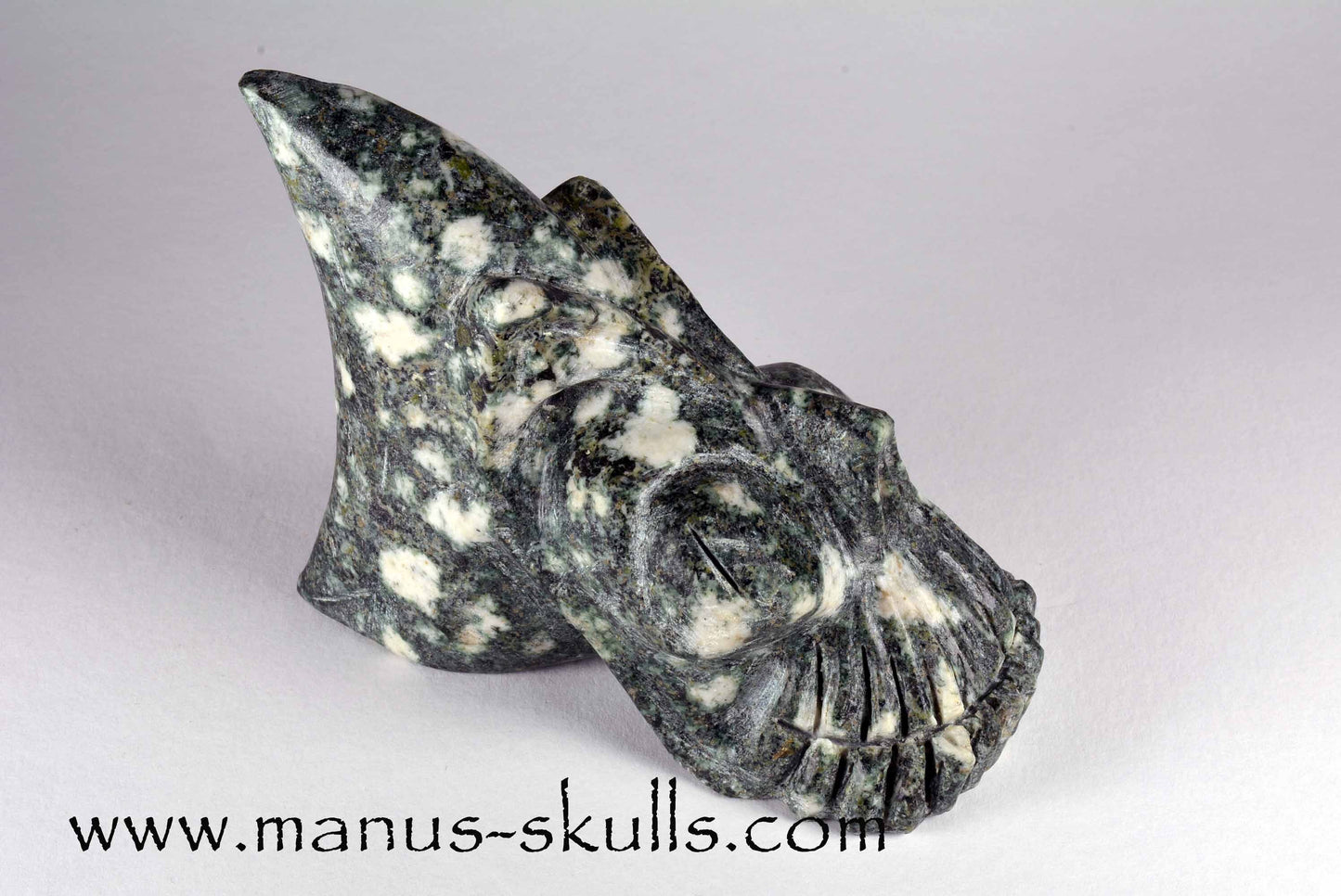Preseli Bluestone Conehead Skull