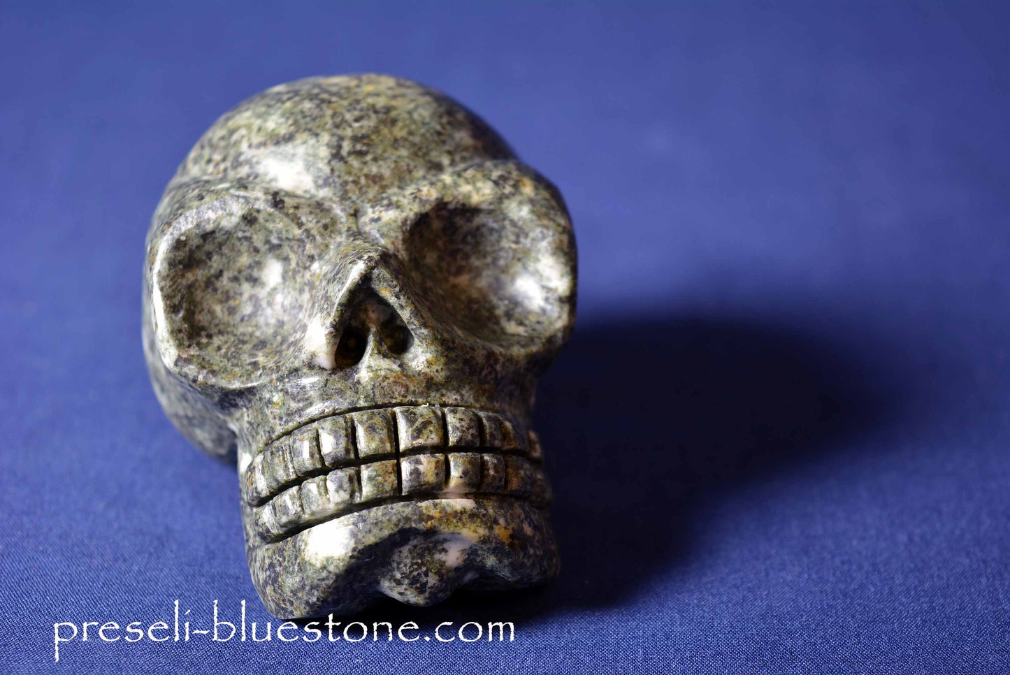 Preseli Bluestone Skull