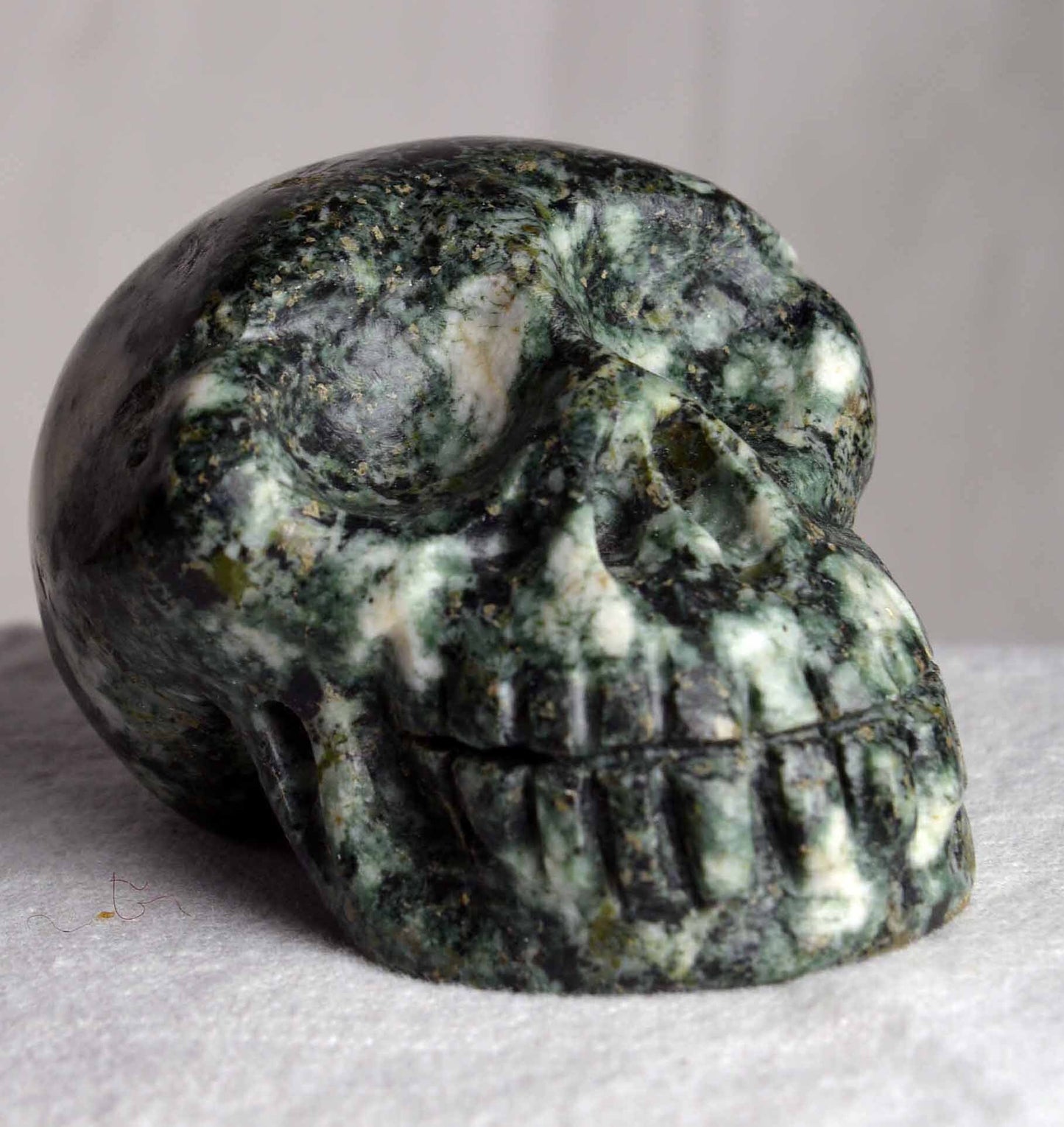 Preseli Bluestone Skull
