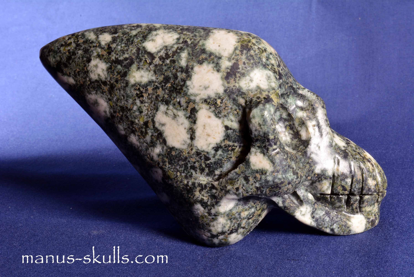 Preseli Bluestone Conehead Skull