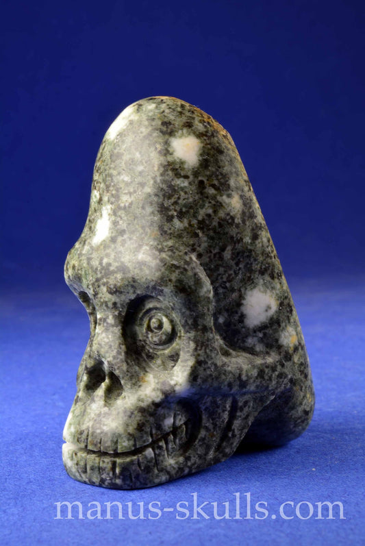 Preseli Bluestone Conehead Skull