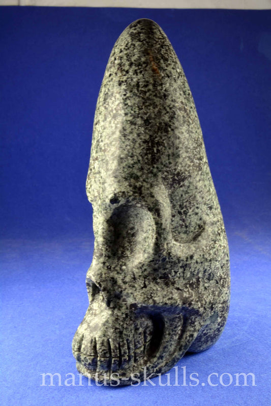 Unspotted Preseli Bluestone Conehead Skull