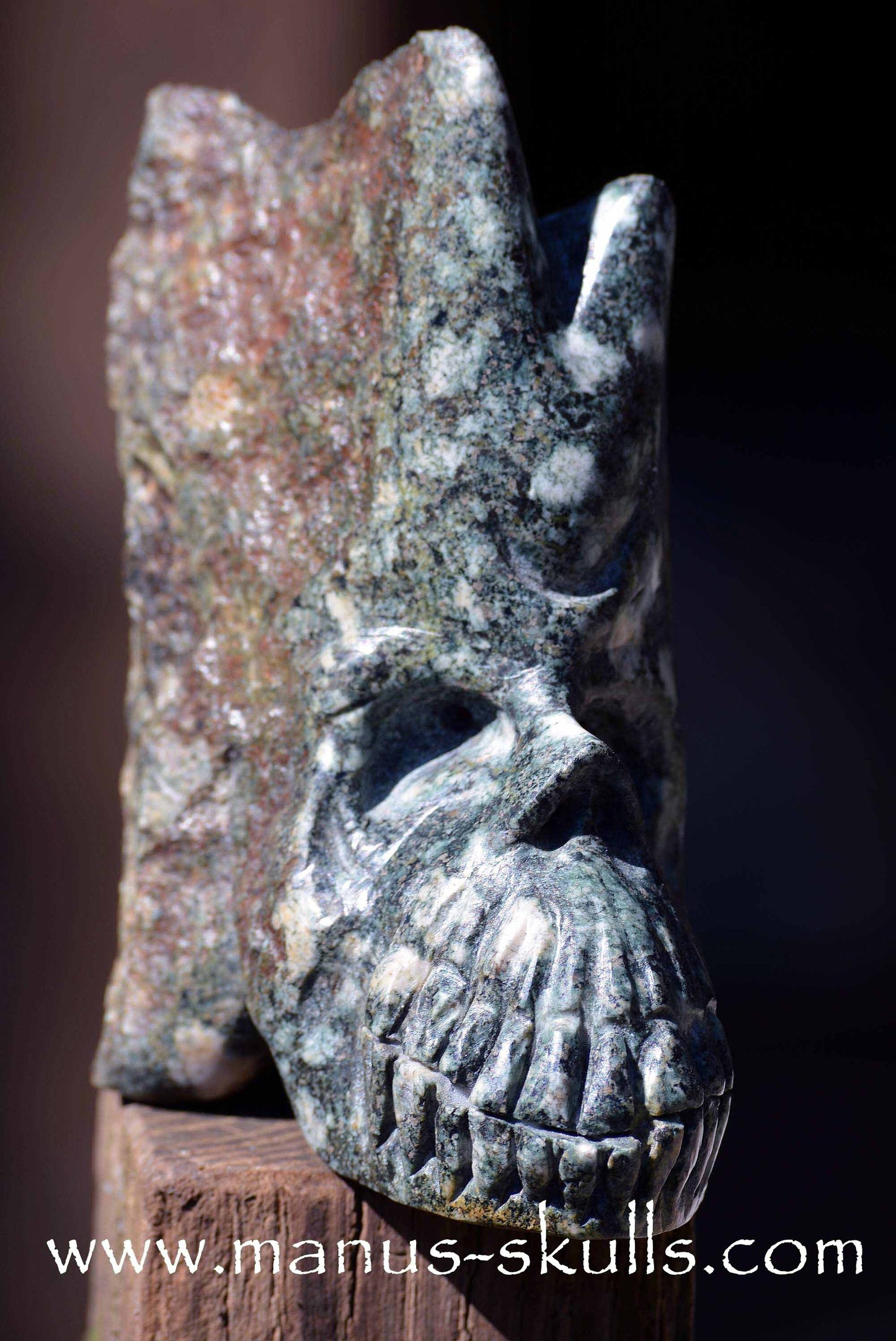 Preseli Bluestone Skull