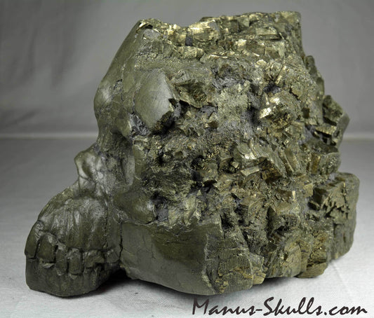 Pyrite Skull