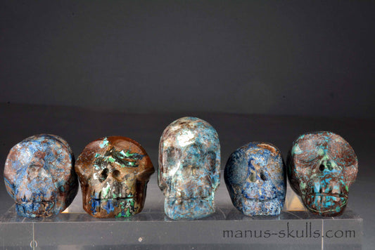 Quantum Quattro Skulls