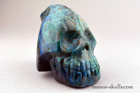 Quantum Quattro Skull