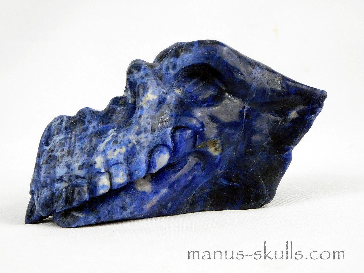 Sodalite Dragon