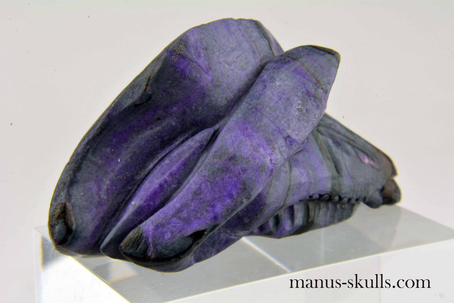 Sugilite Dragon