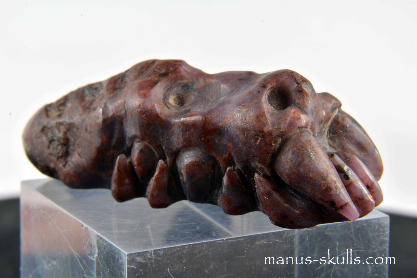 Ruby Sapphire Dragon