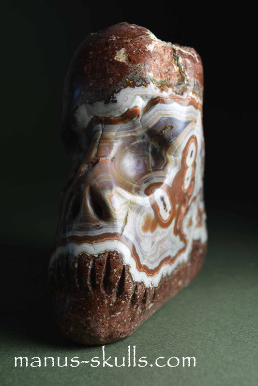 Thunderegg Lithophyse Agate Skull