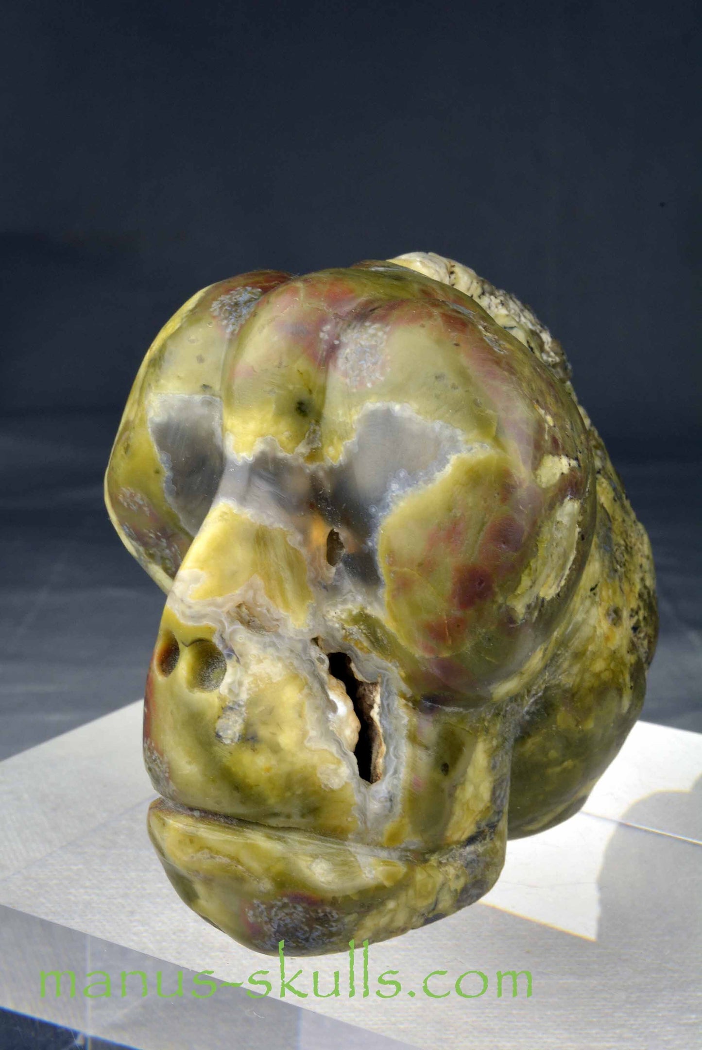 Thunderegg Skull