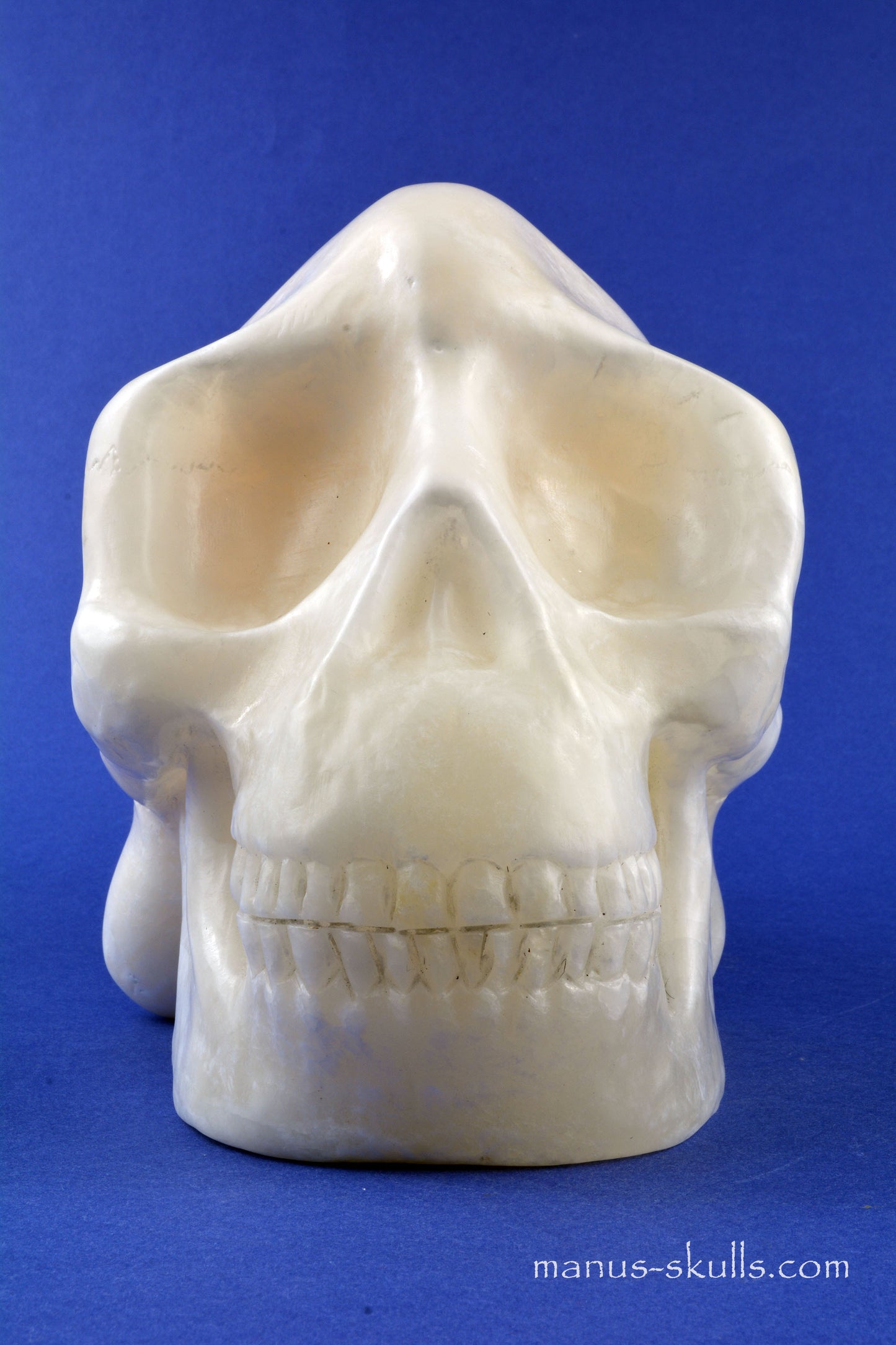 Alabaster Skull