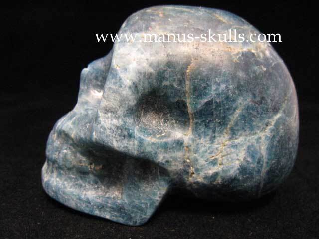 Apatite Skull