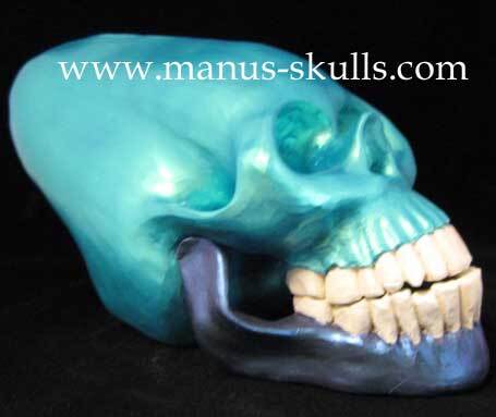 Ceramic Skull