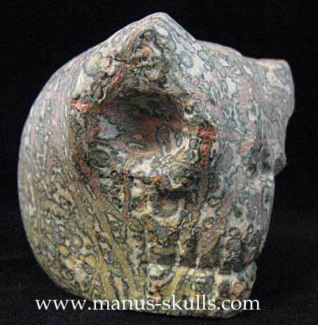 Leopard skin Jasper Alien