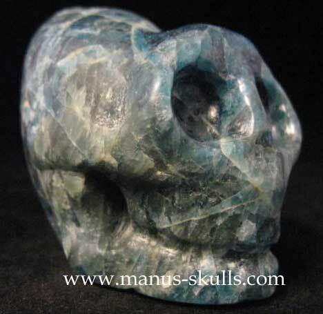 Apatite Skull