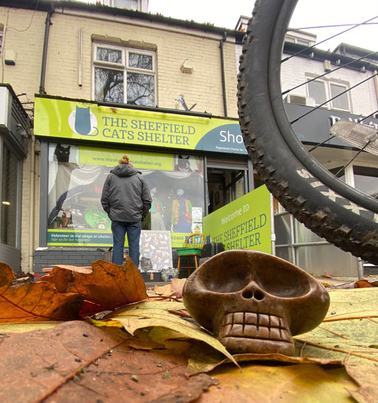 An Ivolian Skull Made Me Their Guardian :)