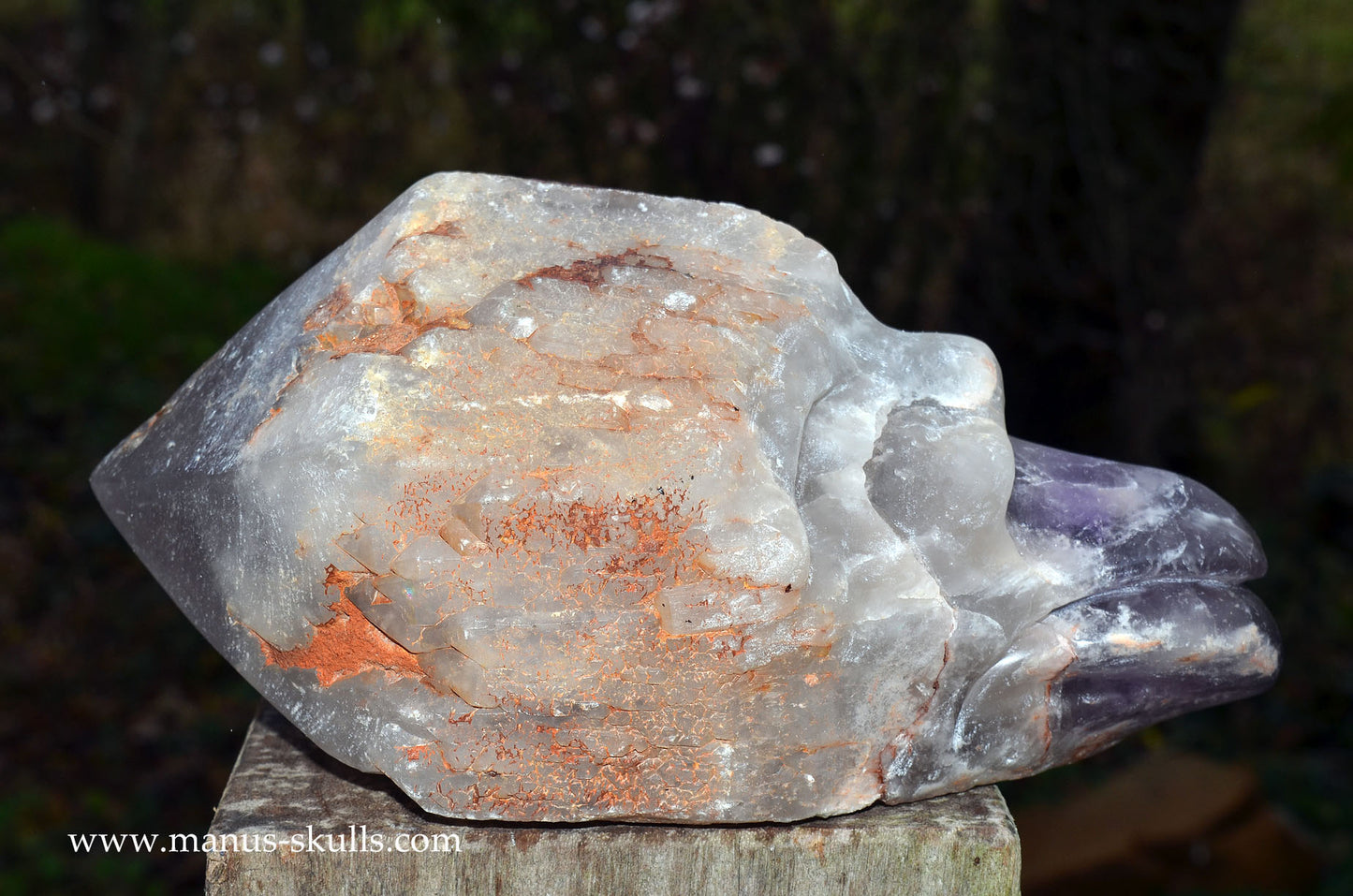 Large Mandu Amethyst Point Head Skull