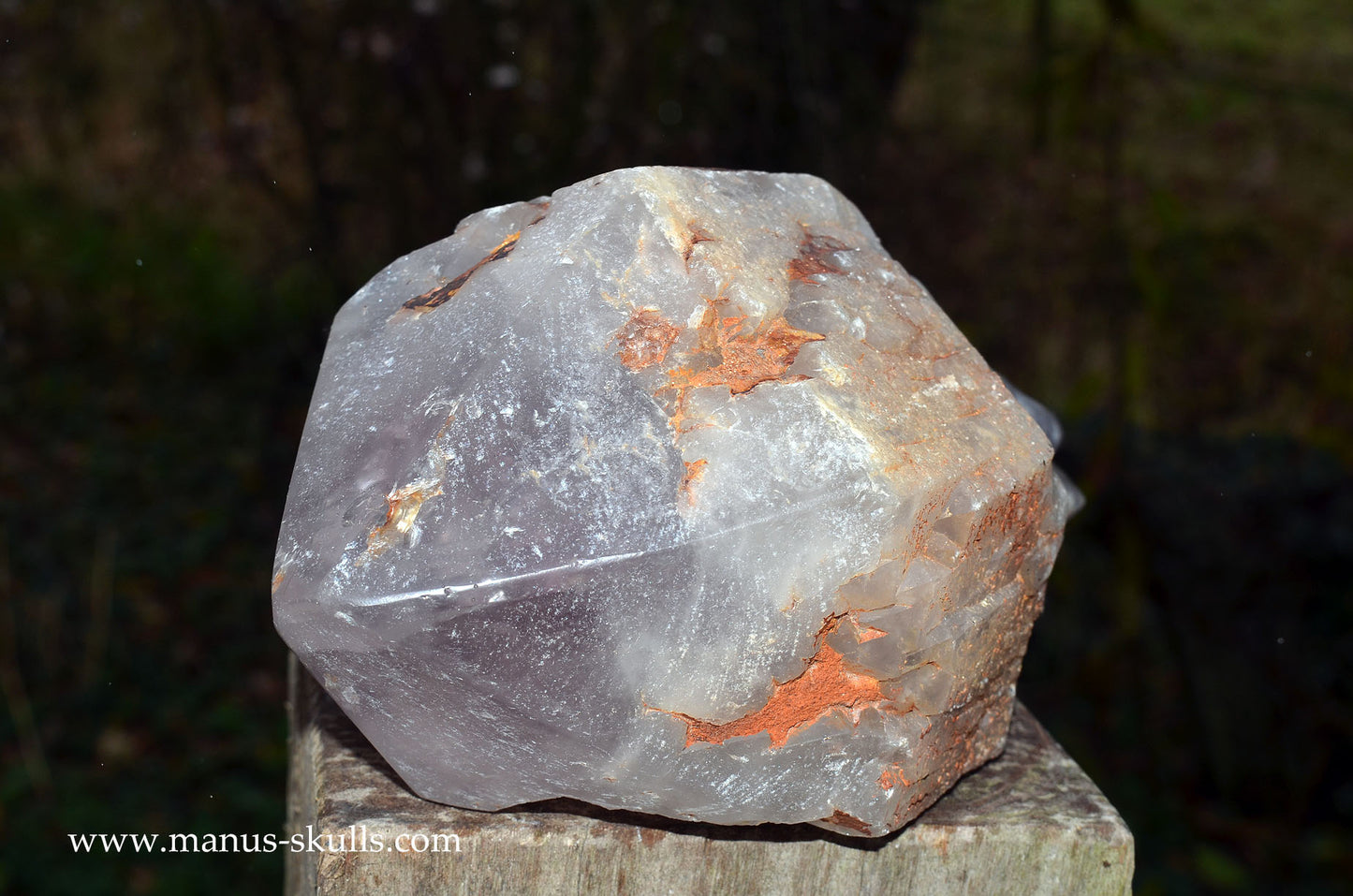 Large Mandu Amethyst Point Head Skull