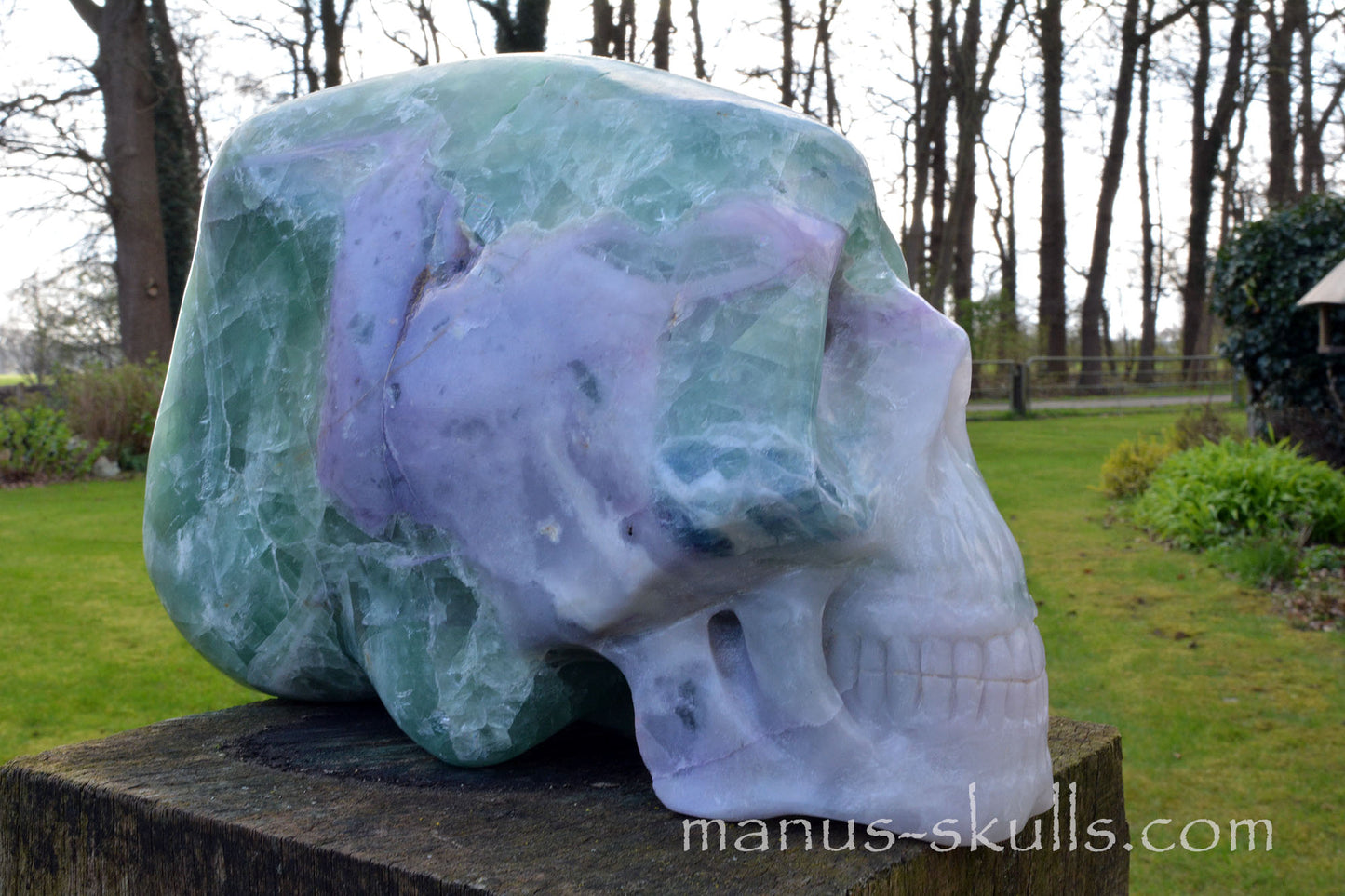 Huge Rainbow Fluorite Traveller Skull ..