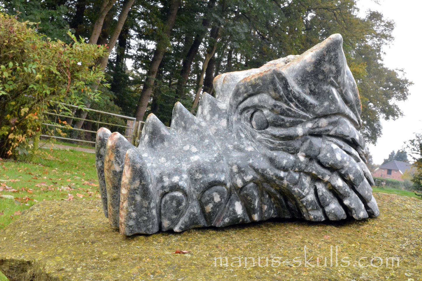 HUGE Preseli Bluestone master Dragon (20 KG)