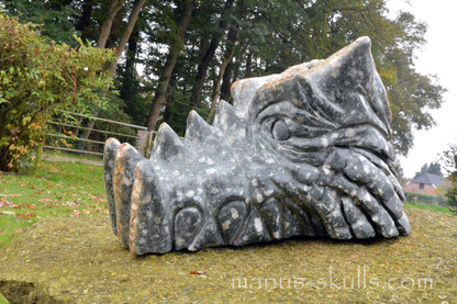 HUGE Preseli Bluestone master Dragon (20 KG)