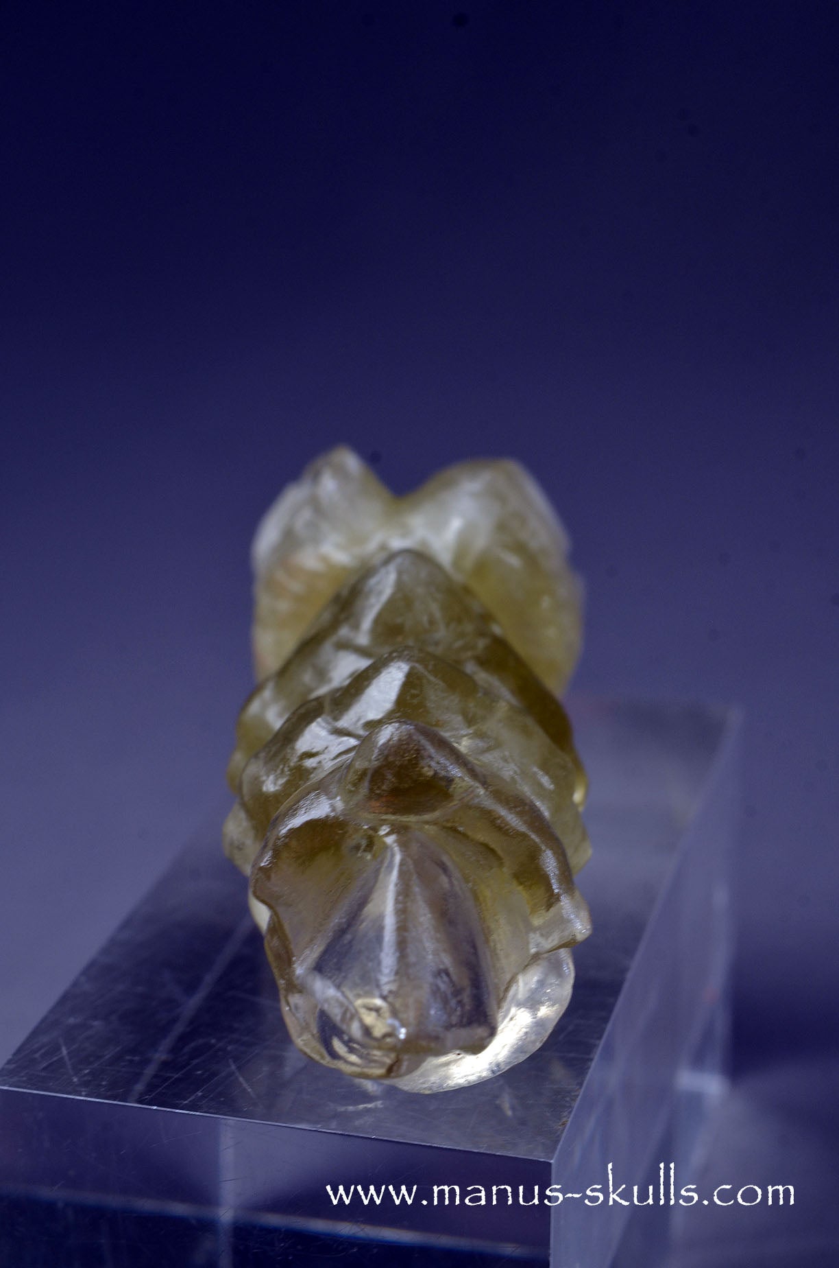 Citrine Dragon