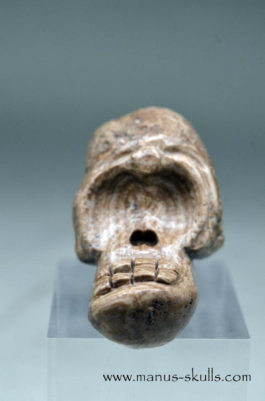 Evolian Manus SKULL