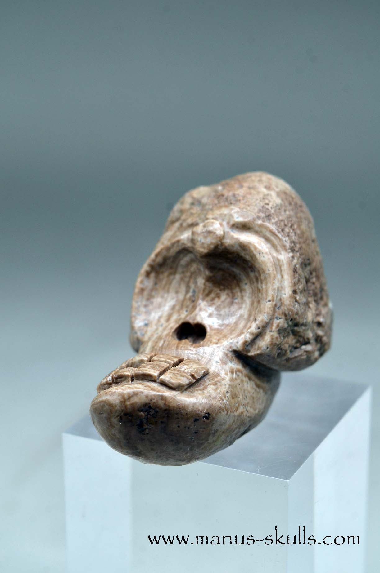 Evolian Manus SKULL