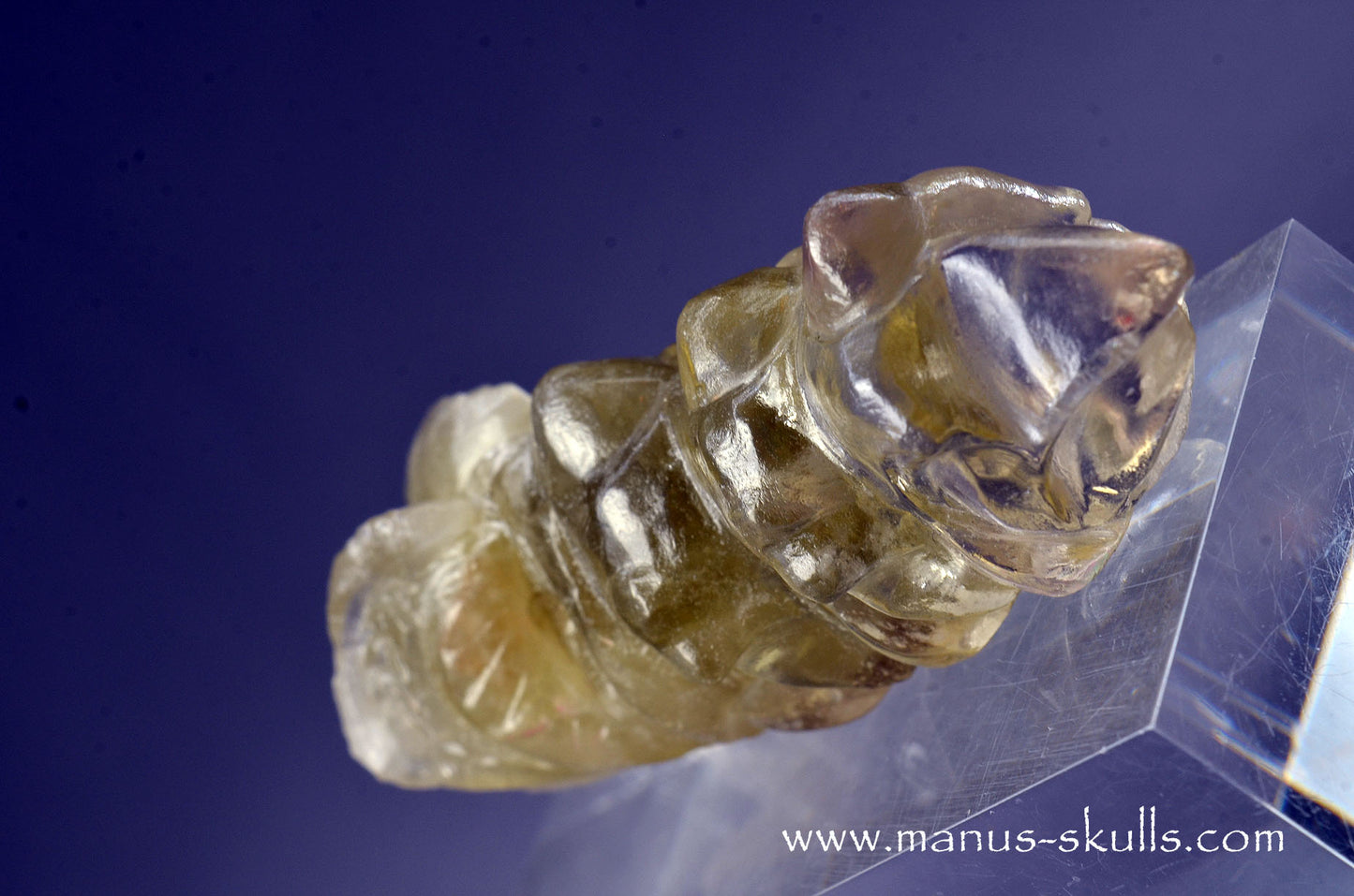 Citrine Dragon