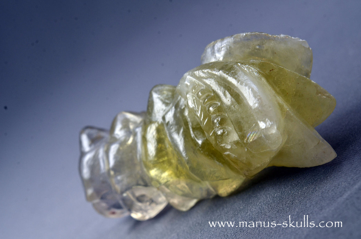 Citrine Dragon