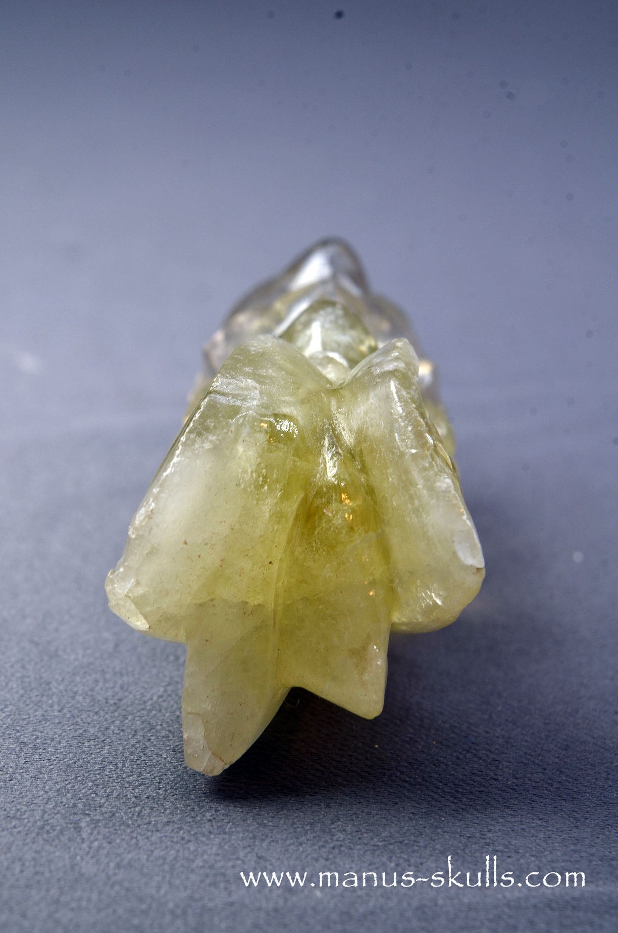 Citrine Dragon